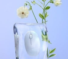 Finalmouse Centerpiece Keyboard Sports A Display Under The