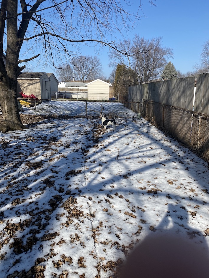 outdoor iphone 11 pro