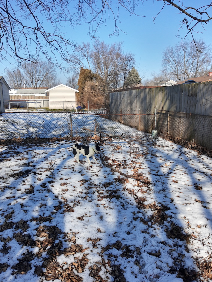 outdoor motorola one action