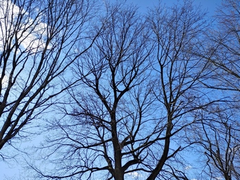 lg g8x picture sample 2