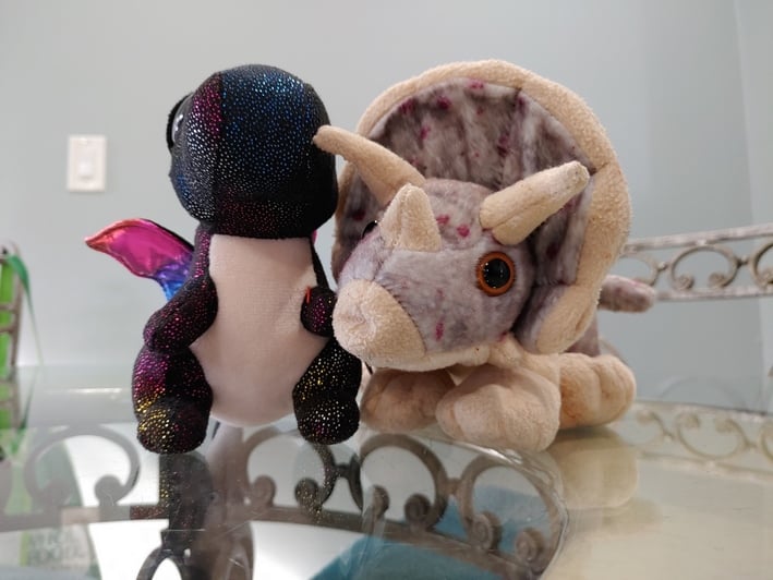 lg g8x picture sample 4