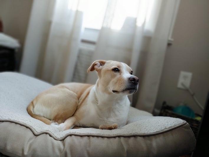 lg g8x picture sample 5