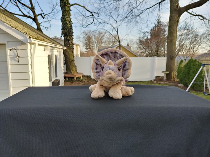 lg g8x standard camera