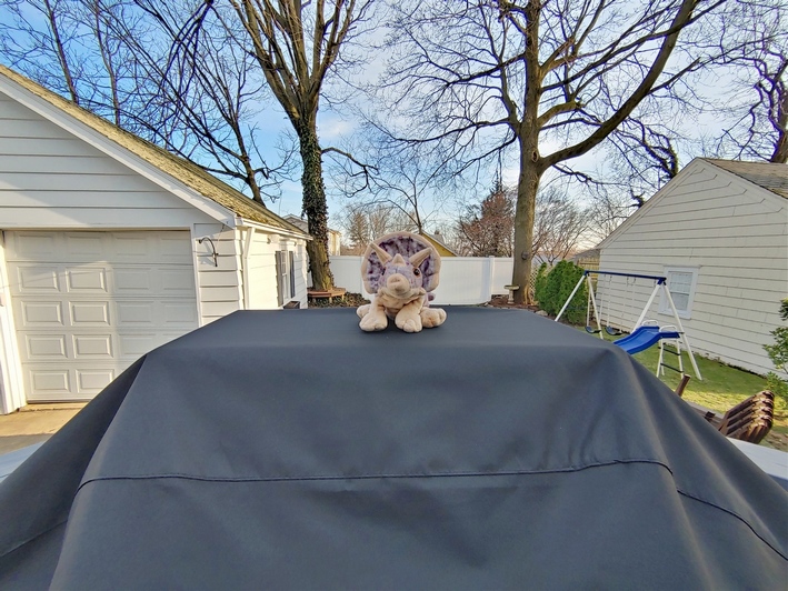 lg g8x wide angle camera