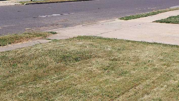 yard galaxy tab active pro