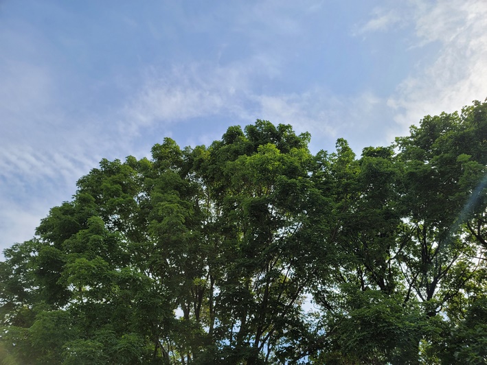 picture sample note 20 ultra 4