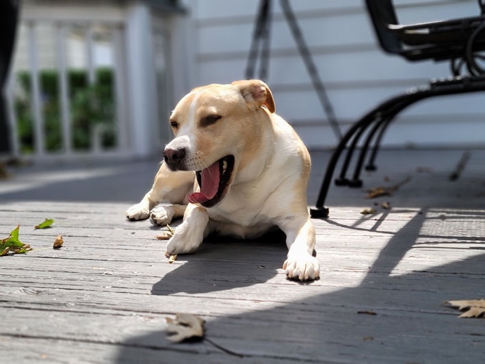 picture sample note 20 ultra live focus