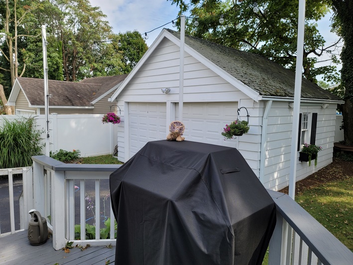 picture sample note 20 ultra zoom 1x