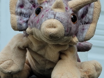 picture sample note 20 ultra zoom 20x