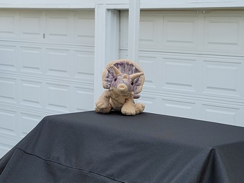 picture sample note 20 ultra zoom 4x