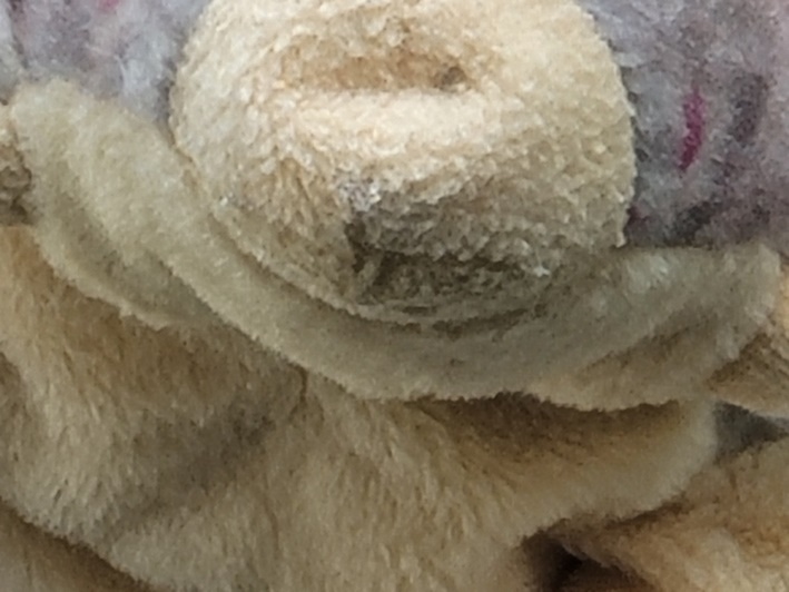 picture sample note 20 ultra zoom 50x