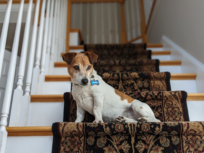 Pixel 6 Pro Portrait Stairs