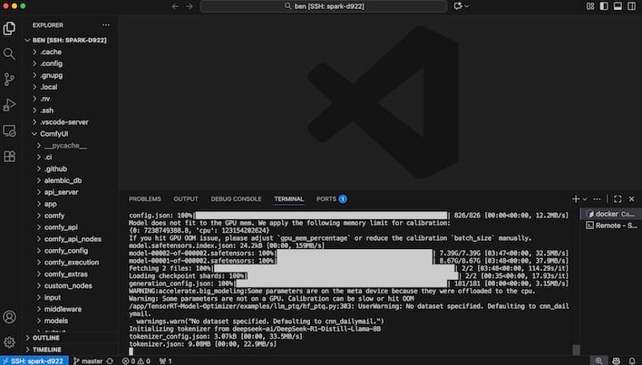 model quantization nvidia dgx spark