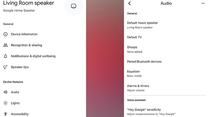 Google Home software for the Google Home Speaker.