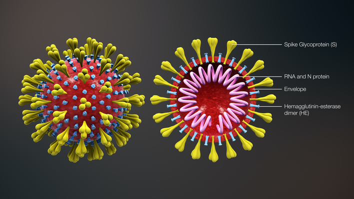 Эта панель управления коронавирусом дает вам глобальное отслеживание смертельных инфекций в реальном времени