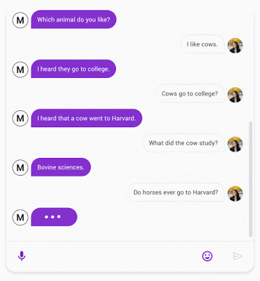 meena chatbot try