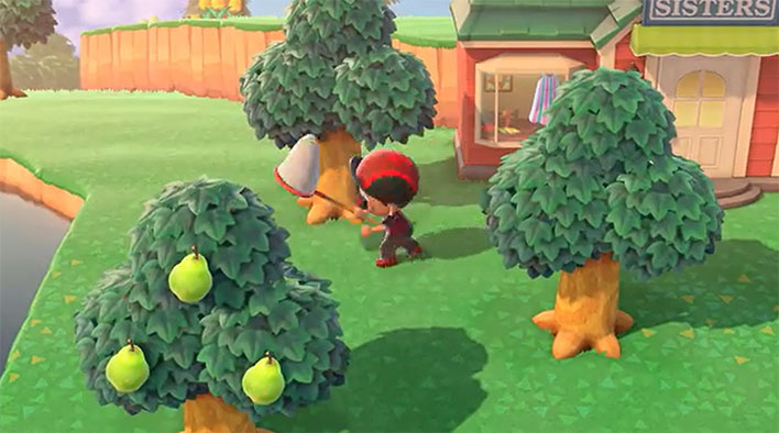 animal crossing new horizons bug catching