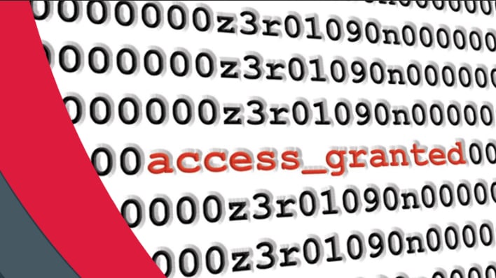 hero access granted 2