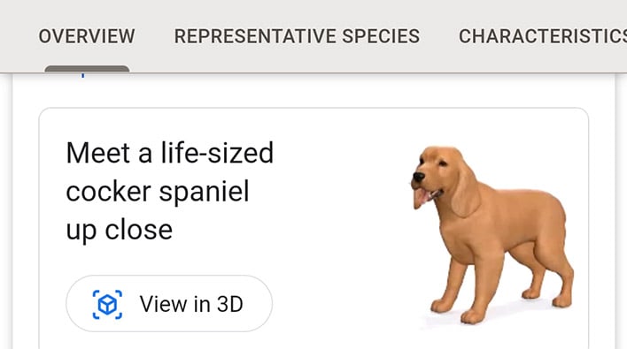 google search ar animals view 3d