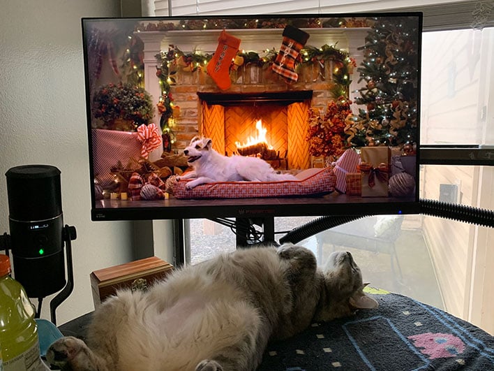 Yule Log Fireplace with Cat