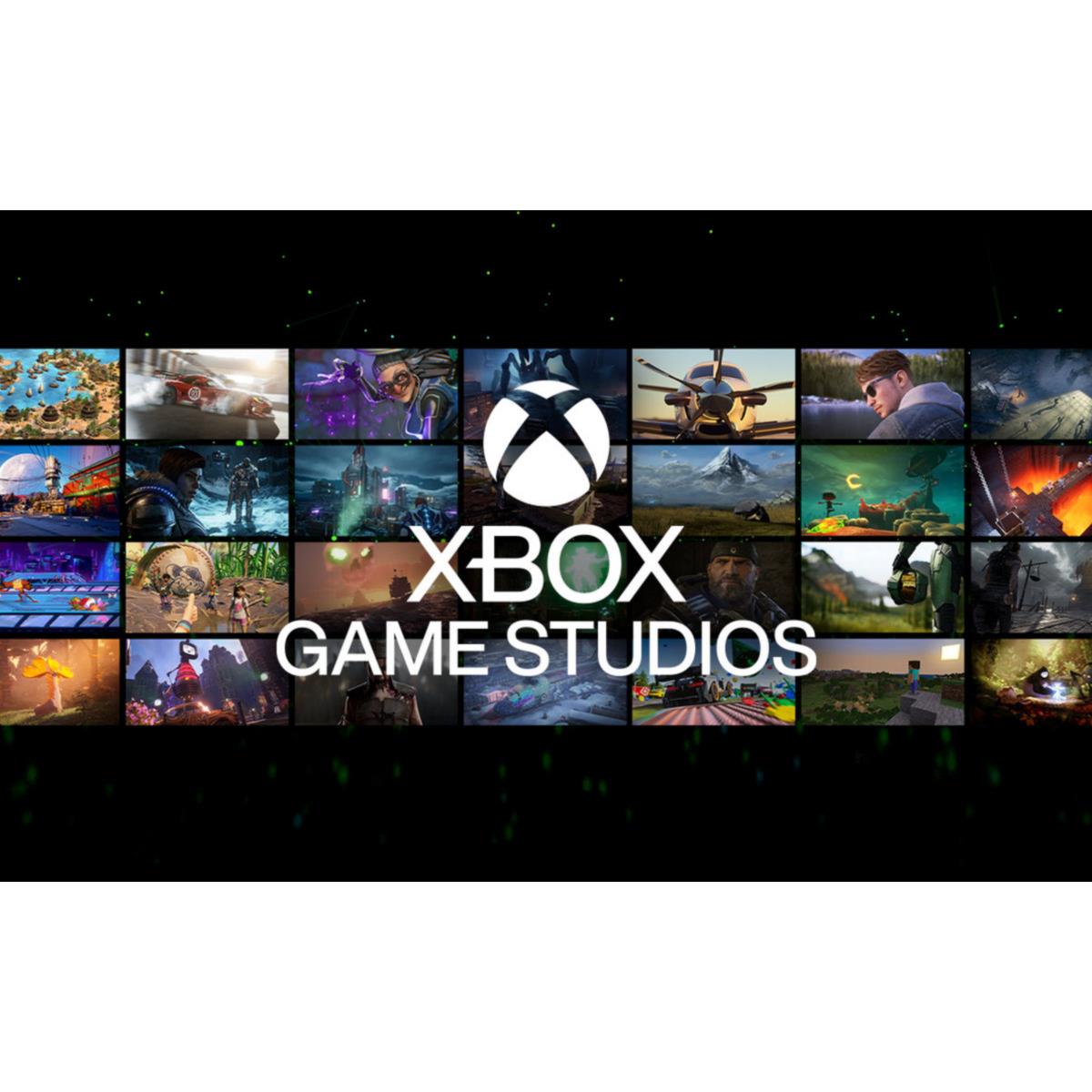Microsoft Game Studios Video Games