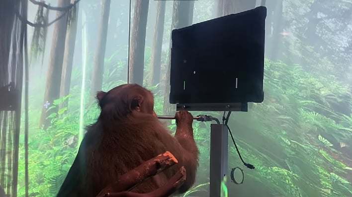 neuralink allows a monkey to play pong with its mind