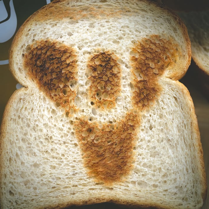 bungie destiny toaster