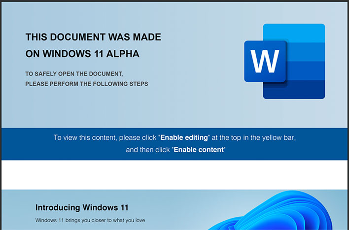 Windows 11 Alpha Document