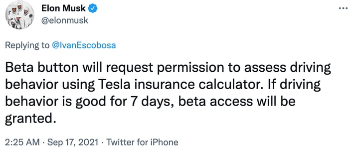 elon musk fsd