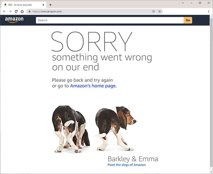 small amazon outage error message