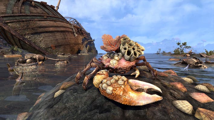 elder scorlls barnacle pet