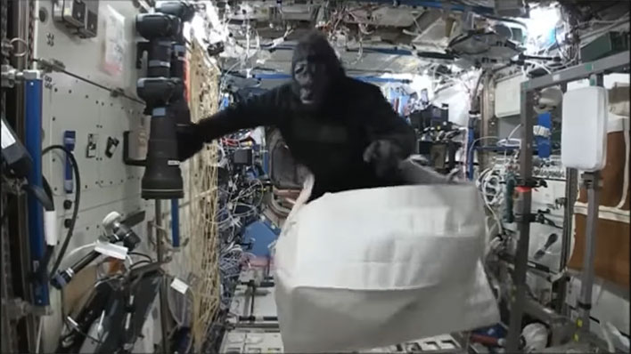 Gorilla Suit in Space