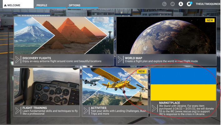 small MS Flight Simultator Ukraine