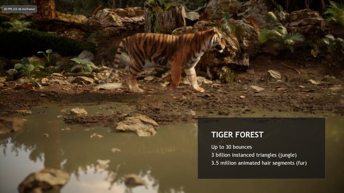 tiger real time path tracing