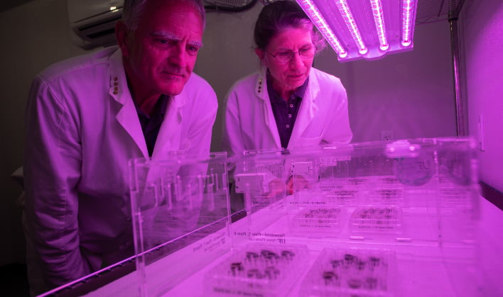 Moon Greenhouses An Exciting Viable Food Source As Researchers Grow Plants In Lunar Soil