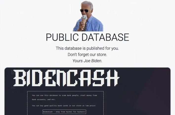 hackers troll president bidencash stolen credit card landing page news