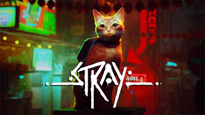 Stray banner showing the protaganist cat