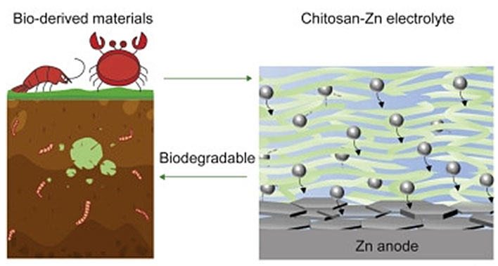 sustainable chitosan-zinc electrolyte battery