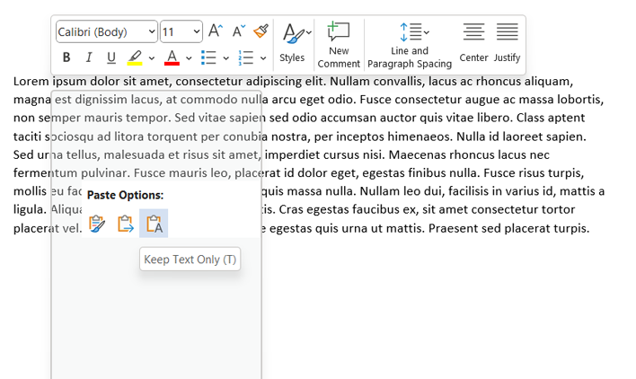microsoft word keep text only