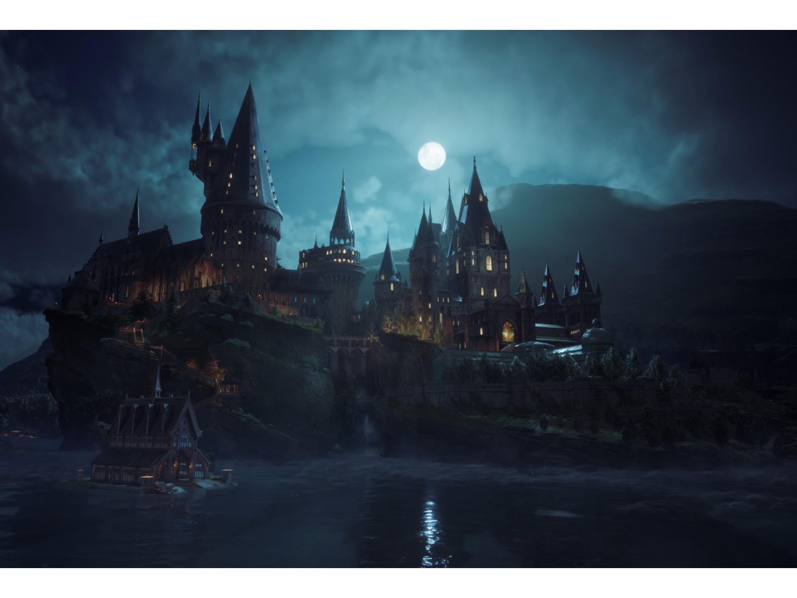 Hogwarts Legacy is playable already!! : r/Switch