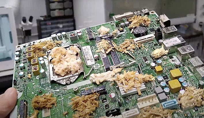 Living Motherboard Made With Mushrooms hero