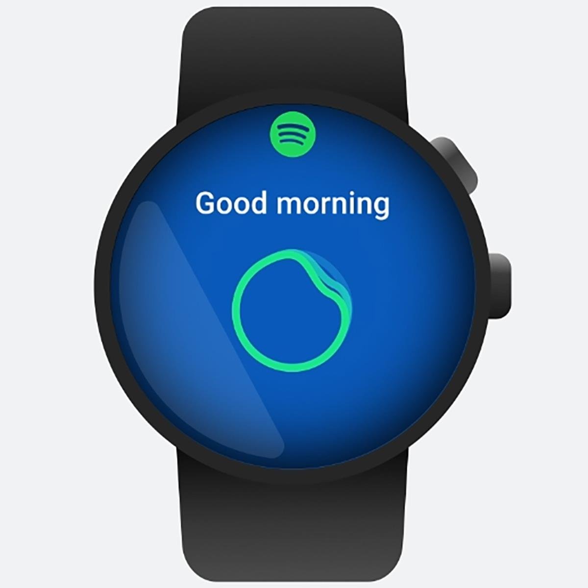 Spotify android hot sale wear app