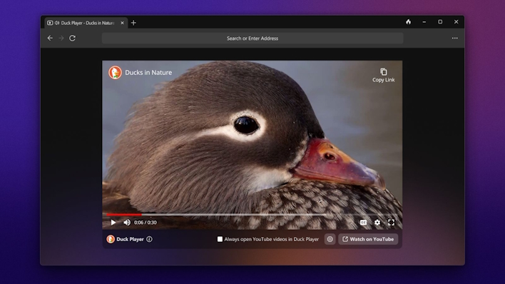 DuckDuckGo's Privacy-Enhanced Browser Waddles Into Windows, How It Compares To Chrome