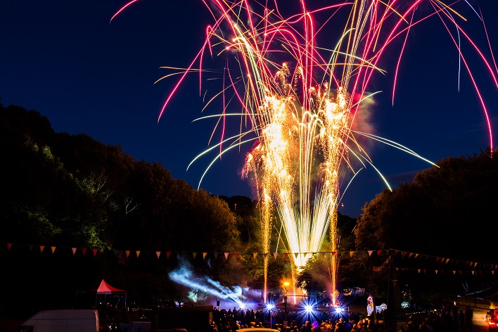 fireworks in a park