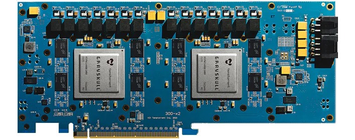 tenstorrent grayskull e300