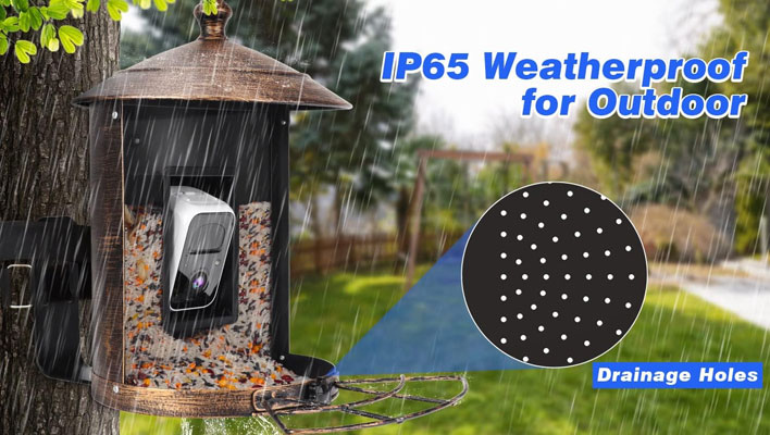 ANIPLEX+ smart bird feeder moutned to a tree while raining.