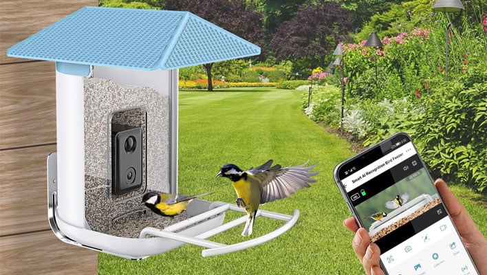 Yukhsin AI smart bird feeder next to a cell phone.