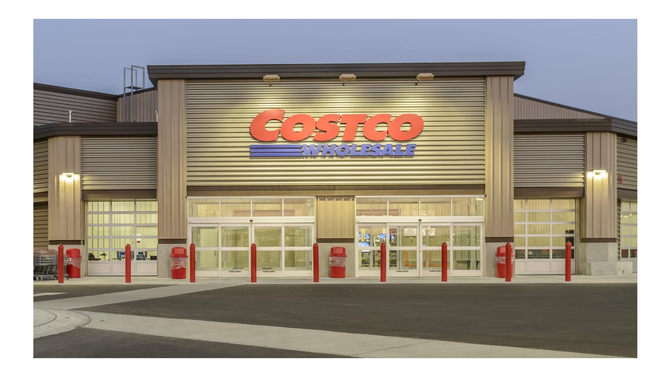 Costco rake deals