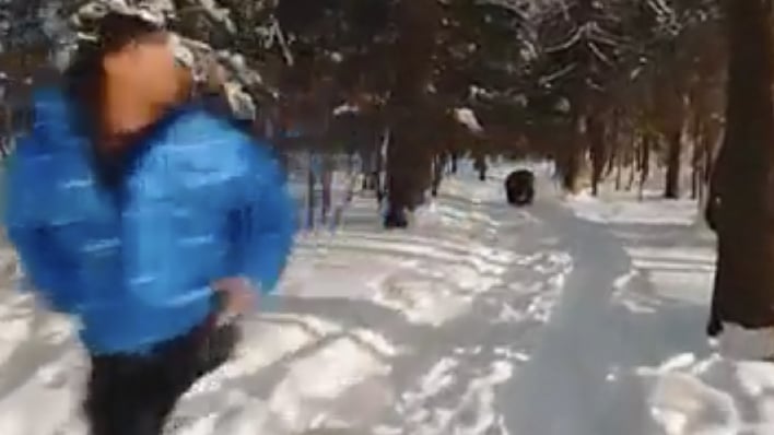 hero bear chase drone footage