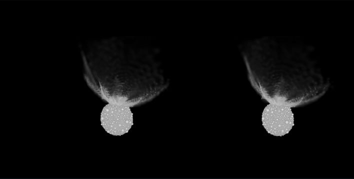 stereoscopic view of dart impact